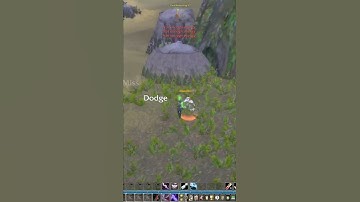 Human Rogue vs. Undead Rogue 1v1