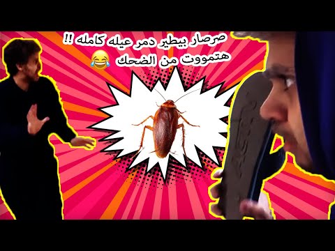 لما يطلعلك صرصار بيطير شوف رد فعلهم محمد ابو مسلم