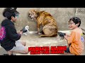 Drama ibu anjing datang nyari anaknya yg di buang sedih liat kondisinya bocil sampe nangis