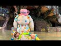 【ビタミン】フェアリーA7 2025/5/13