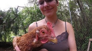 Courtnee Kills A Rooster For The First Time. Courtnee Kills A Rooster For The First Time.