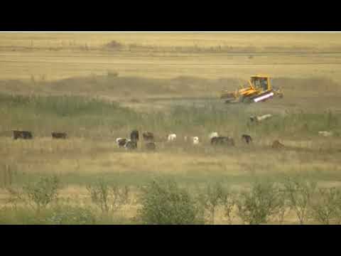 აი ბულდოზერი, აი, ავტობანი...