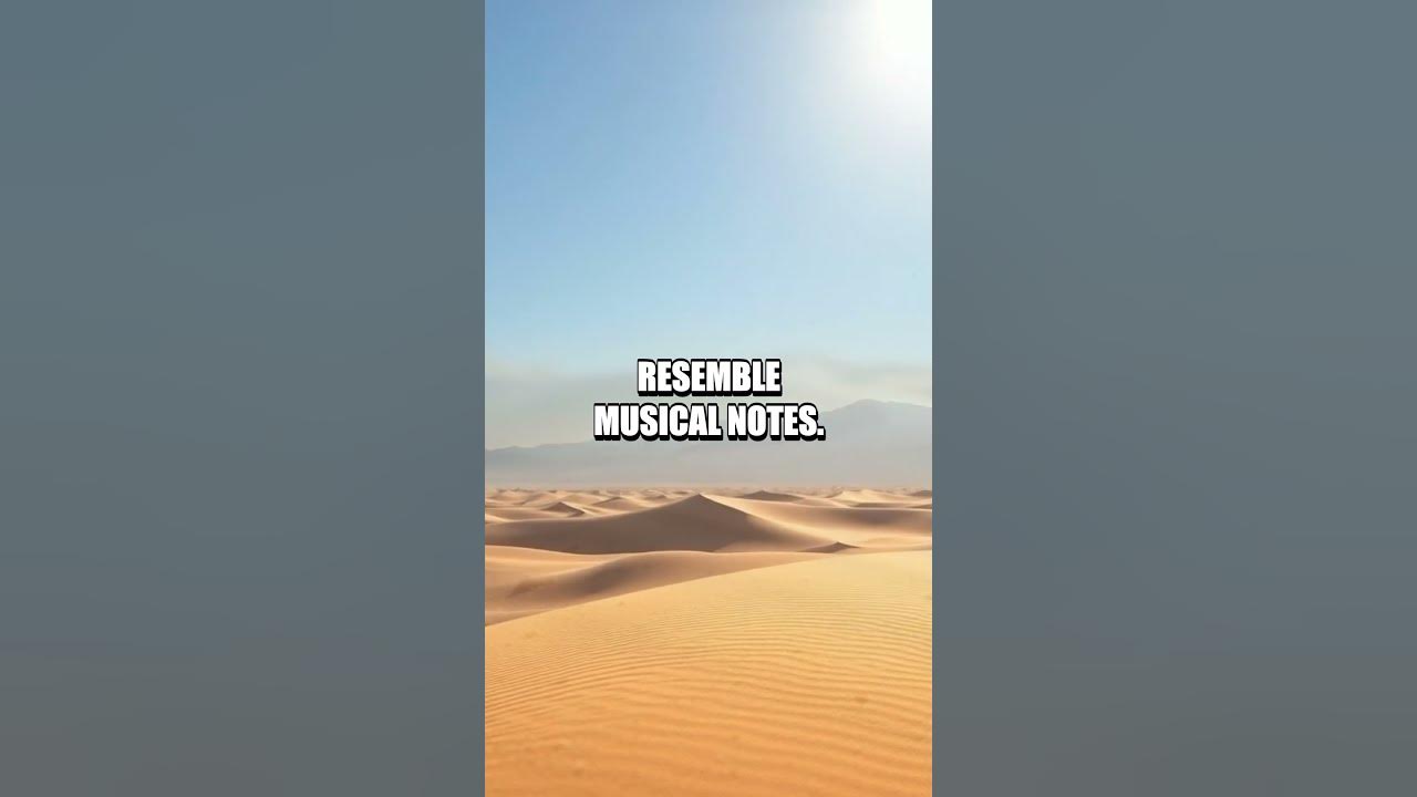 The Extraordinary Phenomenon of Turkey's Singing Sand Dunes