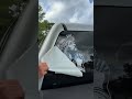 DIY Car Decal Tutorial: Easy Installation&Zero Residue Vinyl Removal! 🚗✨ #printing #vehiclegraphics