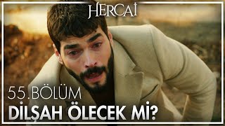 Dilşah Vuruluyor - Hercai 55. Bölüm