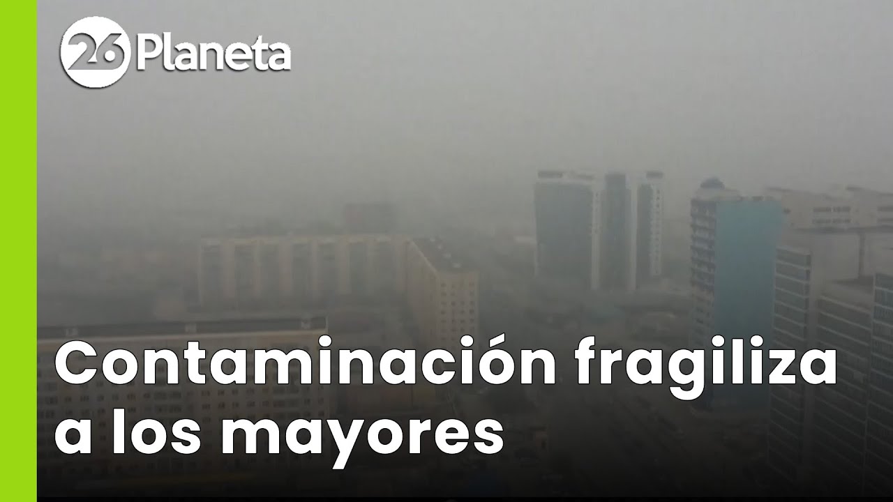🚨 Estudio vincula CONTAMINACIÓN del aire con fragilidad en ADULTOS MAYORES | 