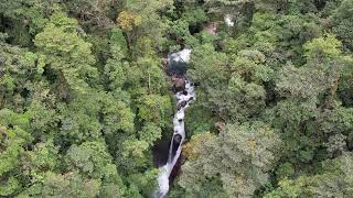 Kris Kremers and Lisanne Froon Drone footage of Rio Mamei paddock stream and river Culebra