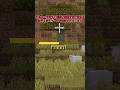 この世界、「死」すら弾ける。【マイクラ】