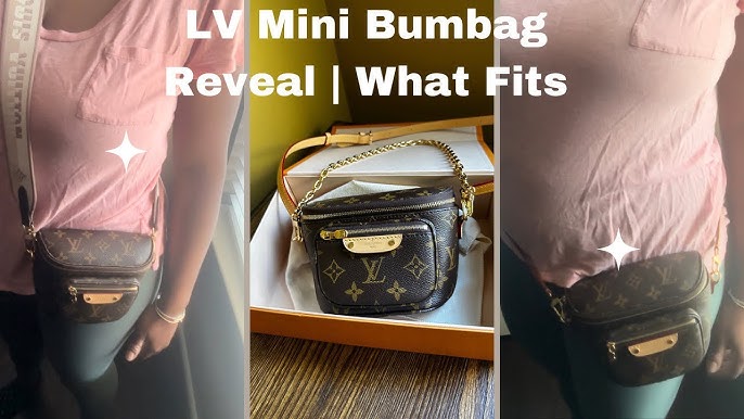 Louis Vuitton High Rise Bumbag  Reveal & What Fits (Modshots at