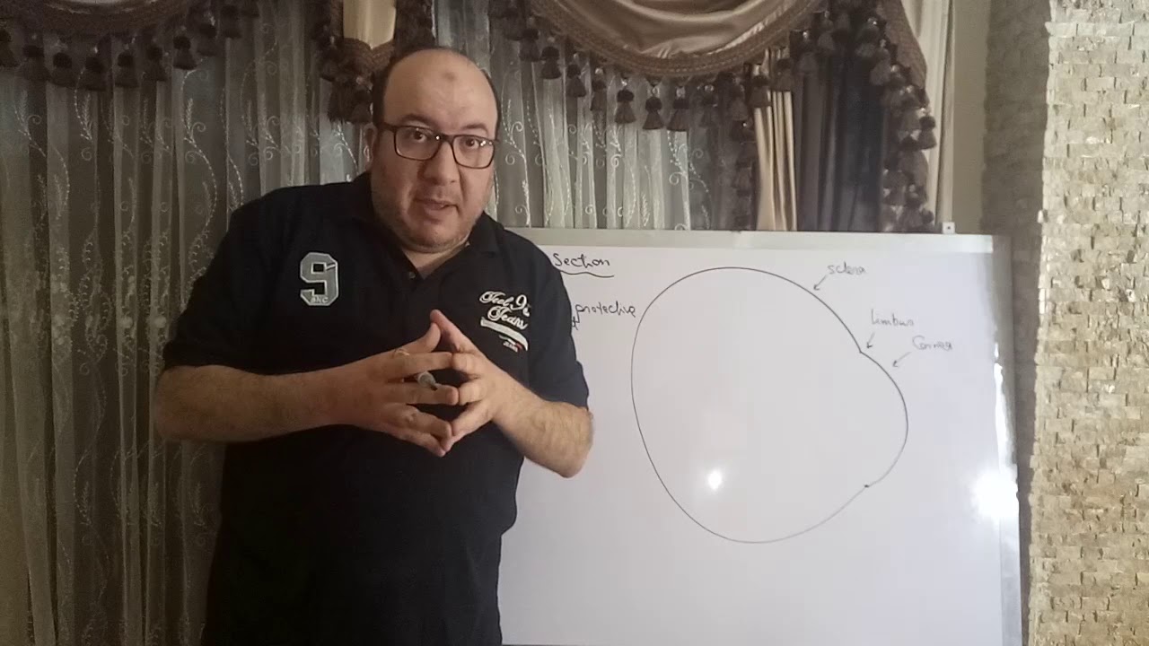 Introduction to Ophthalmology