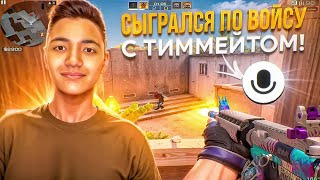 картинка: СЫГРАЛСЯ ПО ВОЙСУ С ТИММЕЙТОМ🎙️📞 | Демка