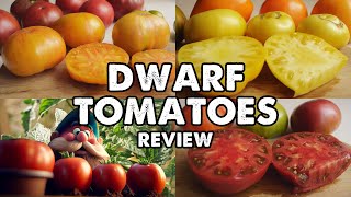 DWARF TOMATOES! HOW CAN ONE RESIST THEM? VARIETIES REVIEW