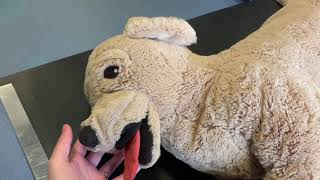 How Roger Goes Together