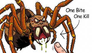 Why It Sucks To Be Born As a Brazilian Wandering Spider
