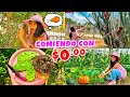 🌵24 HORAS Comiendo SIN DINERO!😱¡NI UN PESO! 🍳¡Completamente GRATIS 🐛 ¿Qué comí en el PUEBLO?