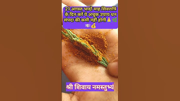 21 अगस्त भादो माह शिवरात्रि के दिन करें ये अचूक उपाय धन संपदा की कमी नहीं होगीं #pradeepmishra #upay