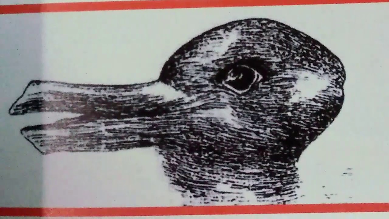 Somehow there's a duck watching you! YouTube