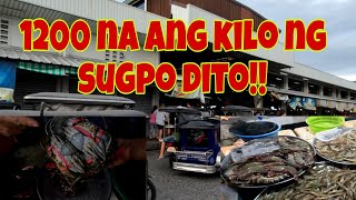 Orani bataan public market Adventure | Magkano ang seafoods dito ngayong holidays..