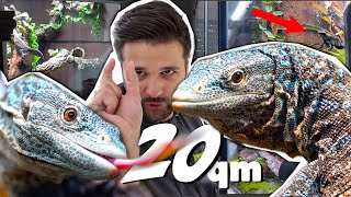 *TERRARIUM ZIMMER*  Ich besuche Sebastian und seine exotischen Haustiere