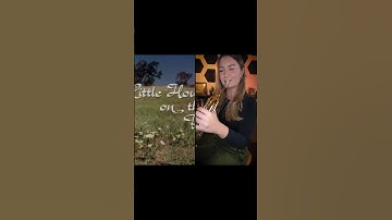 Thumbnail of Little House on the Prairie Theme Song