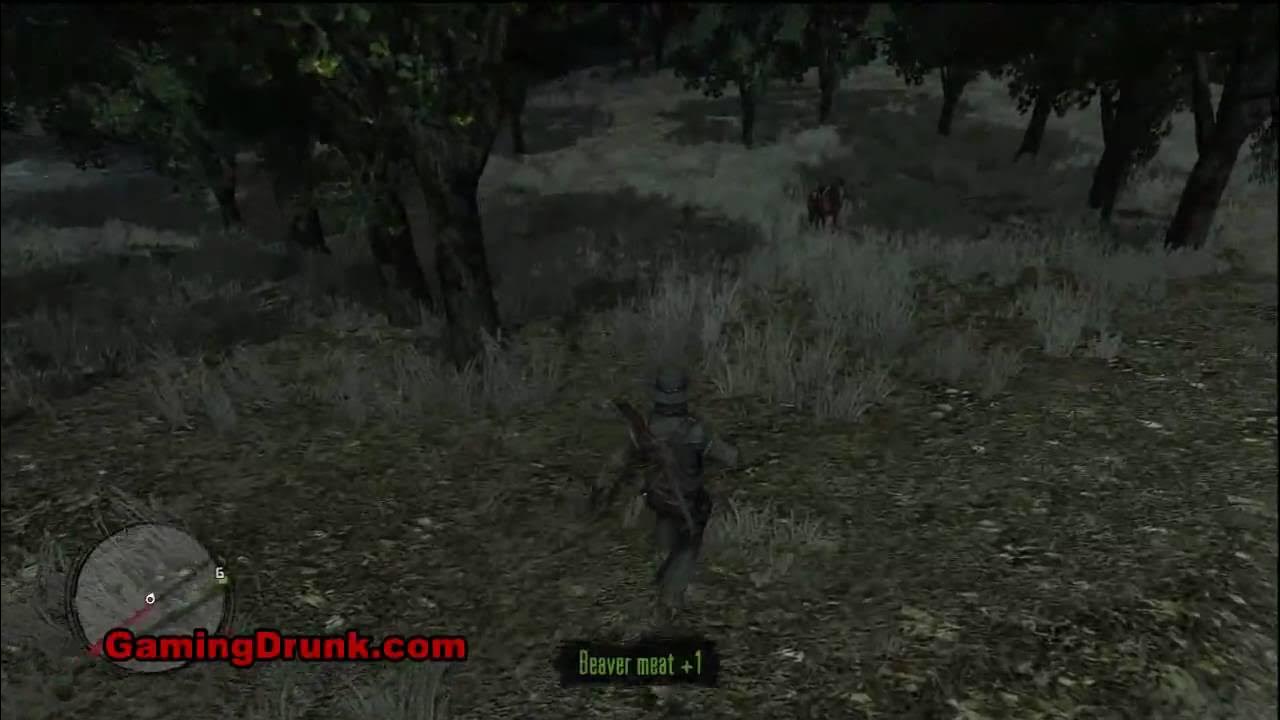 Where to find Beavers and Bears in Red Dead Redemption YouTube