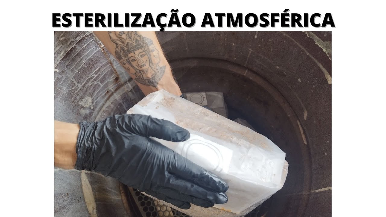 Como esterilizar muito substrato para o cultivo de cogumelos sem utilizar pressão?