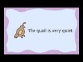 The Queen and Her Quail - Letter Q story for kids - Curiosibee