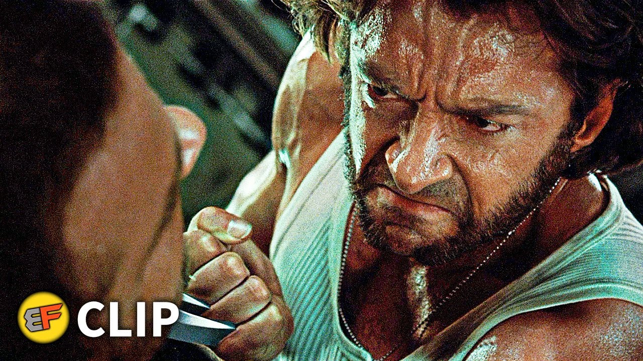 Wolverine Vs Sabretooth - The Island Fight Scene | X-Men Origins Wolverine  (2009) Movie Clip Hd 4K - Youtube