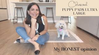 My top pick for puppy pads Honest Amazon Review Is It Worth It