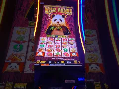 busco cliente pra casino online 2262479113... para pdir fichas total mente gratis sn ls usuarios v