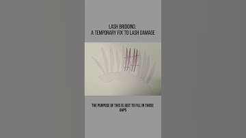 How to Fix Lash Gaps Pt.1 #lashartist  #lashingtips