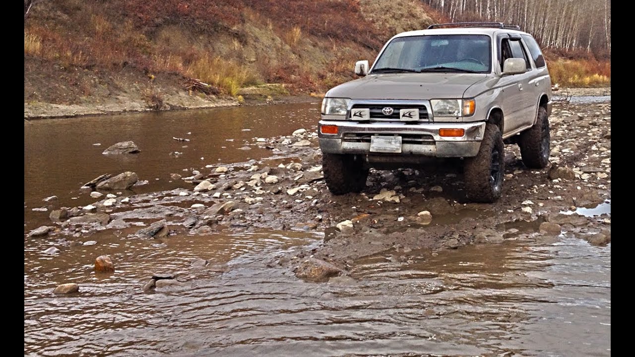 red-deer-water-crossing-youtube