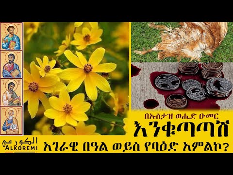 ቪዲዮ: ጥንቸሎች መቼ እንደሚጣመሩ