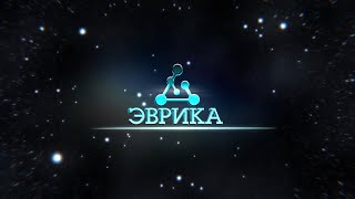 :     /2024.05.10/