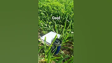 ولنبدأ من جديد وكأننا لم نفشل ابدا 