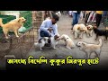 বিদেশি কুকুর কমদামে বিক্রি হচ্ছে হাটে | Mirpur 1 Pets Market Dhaka | Dog, Garman Shepherd