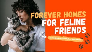 Forever Homes for Feline Friends: Cat Adoption and Shelter Awareness