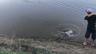 Missouri River Paddlefishing LIVE HOOKUPS