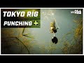 4 ways a tokyo rig outperforms a punch rig for bass