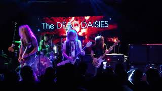 the dead daisies, live in new york