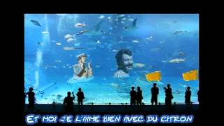 Boby Lapointe la maman des poissons avec paroles.avi chords