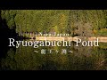 【奈良の絶景】水鏡に映る龍王ヶ渕の紅葉：Ryuogabuchi pond at Uda city in Autumn