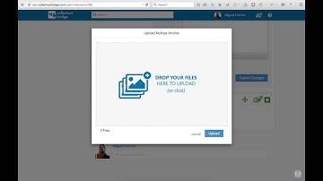 Share your collection through Collectors Bridge