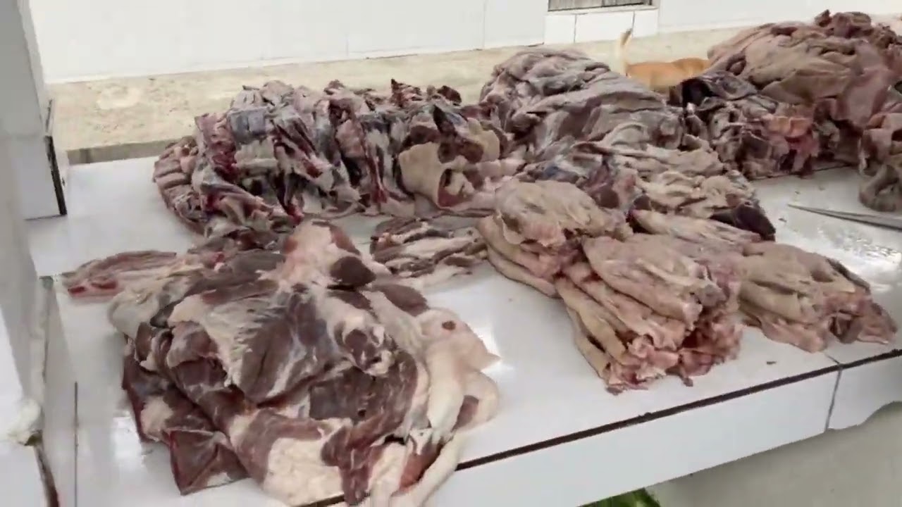 Mostrando a variedade de coisas que têm na feira de Solânea/PB - Parte 3! 