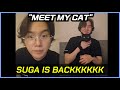 SUGA Introduces His Cat Tang in a Calm Weverse Live (Full Translation &amp; Reaction)