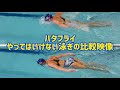 【バタフライ】絶対にやってはいけない泳ぎと模範の比較映像