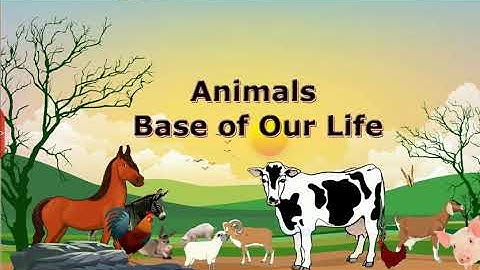 Animals Base Of Our Life, Class 5 EVS SSC | Digital Teacher