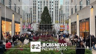 2023 Rockefeller Center Christmas tree arrives in NYC