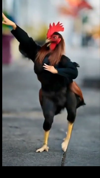 joget hewan #lucu #hiburansegar