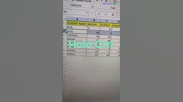 How to Insert Alternative Rows in Excel